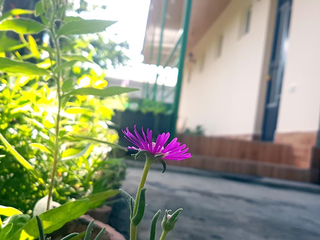 Guest House Villa كفاريلي المظهر الخارجي الصورة